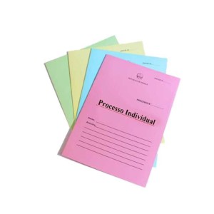 Capa de Processo Individual