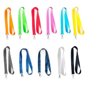 Fita de Passe Económica