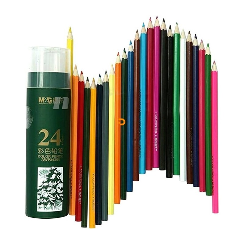 Lápis de Cor Longo Premium 24 Un