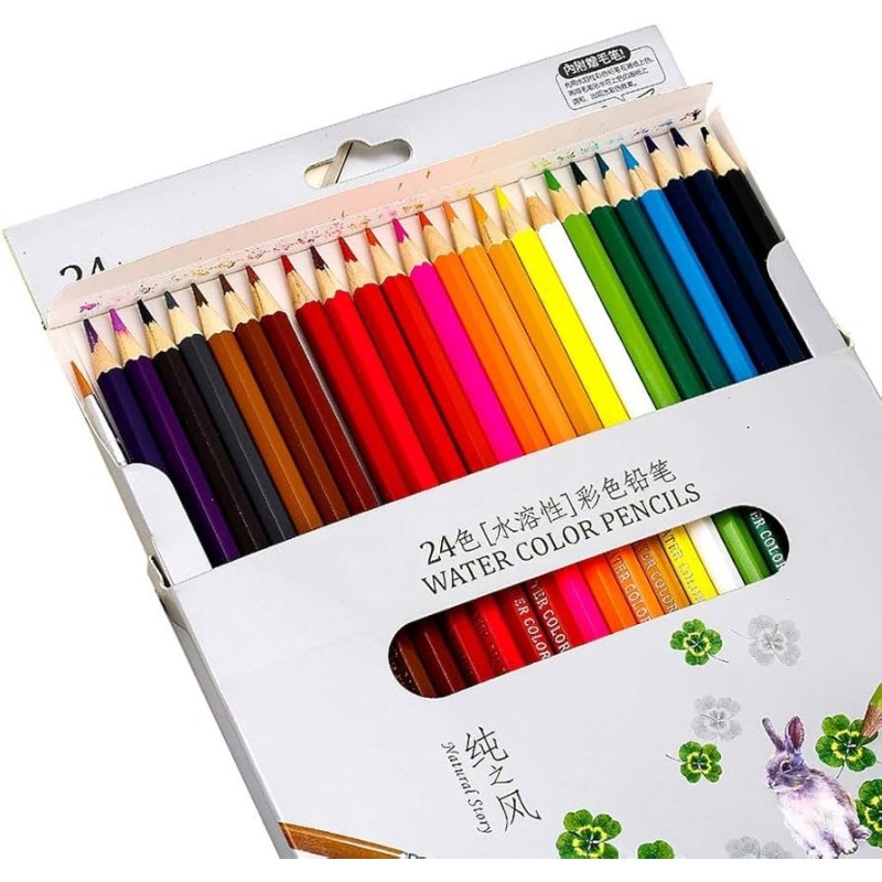 Lápis de Cor Longo 24 Unidades